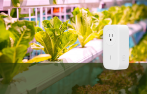 SP1 wifi smart plug shown in a greenhouse
